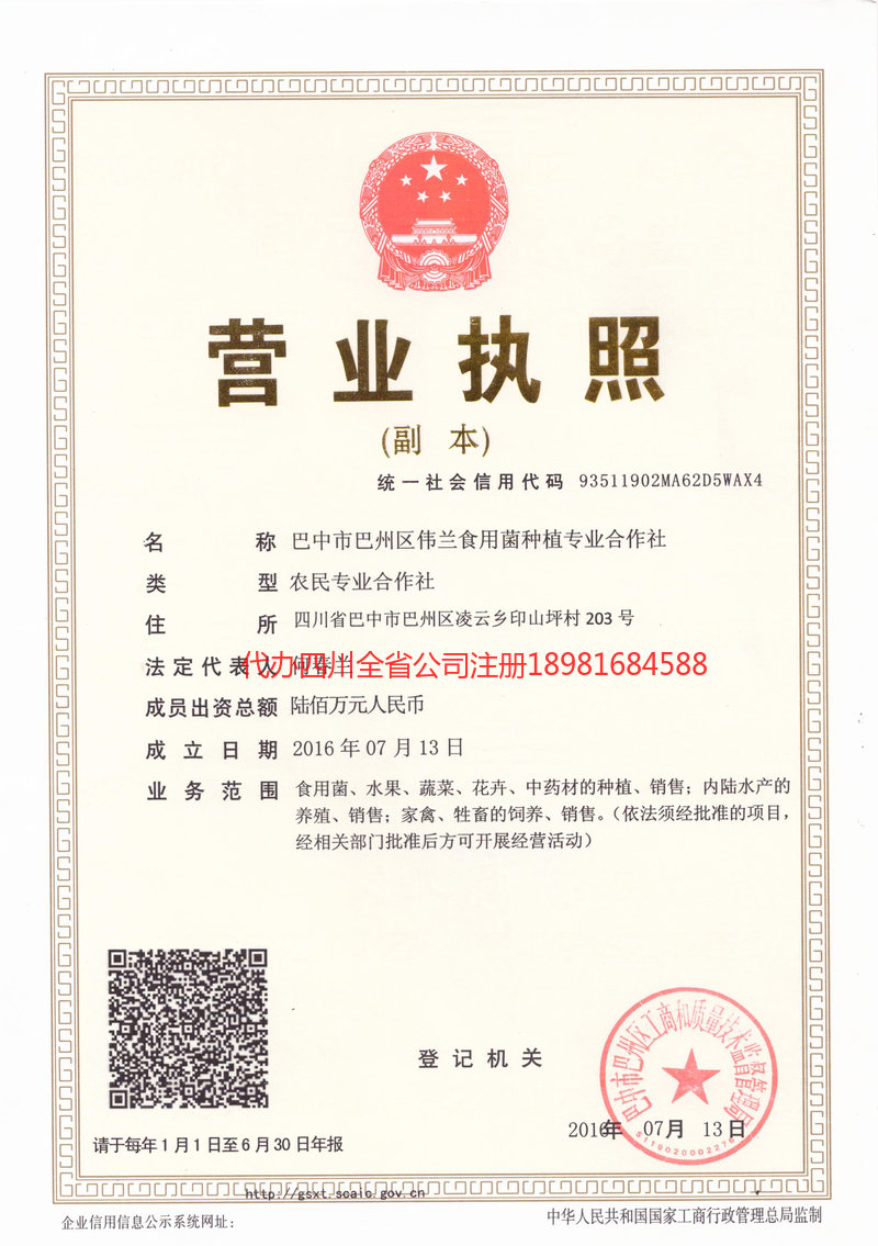 湖北湖北伟兰食用菌种植专业合作社